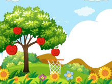 Hoops & Fruits